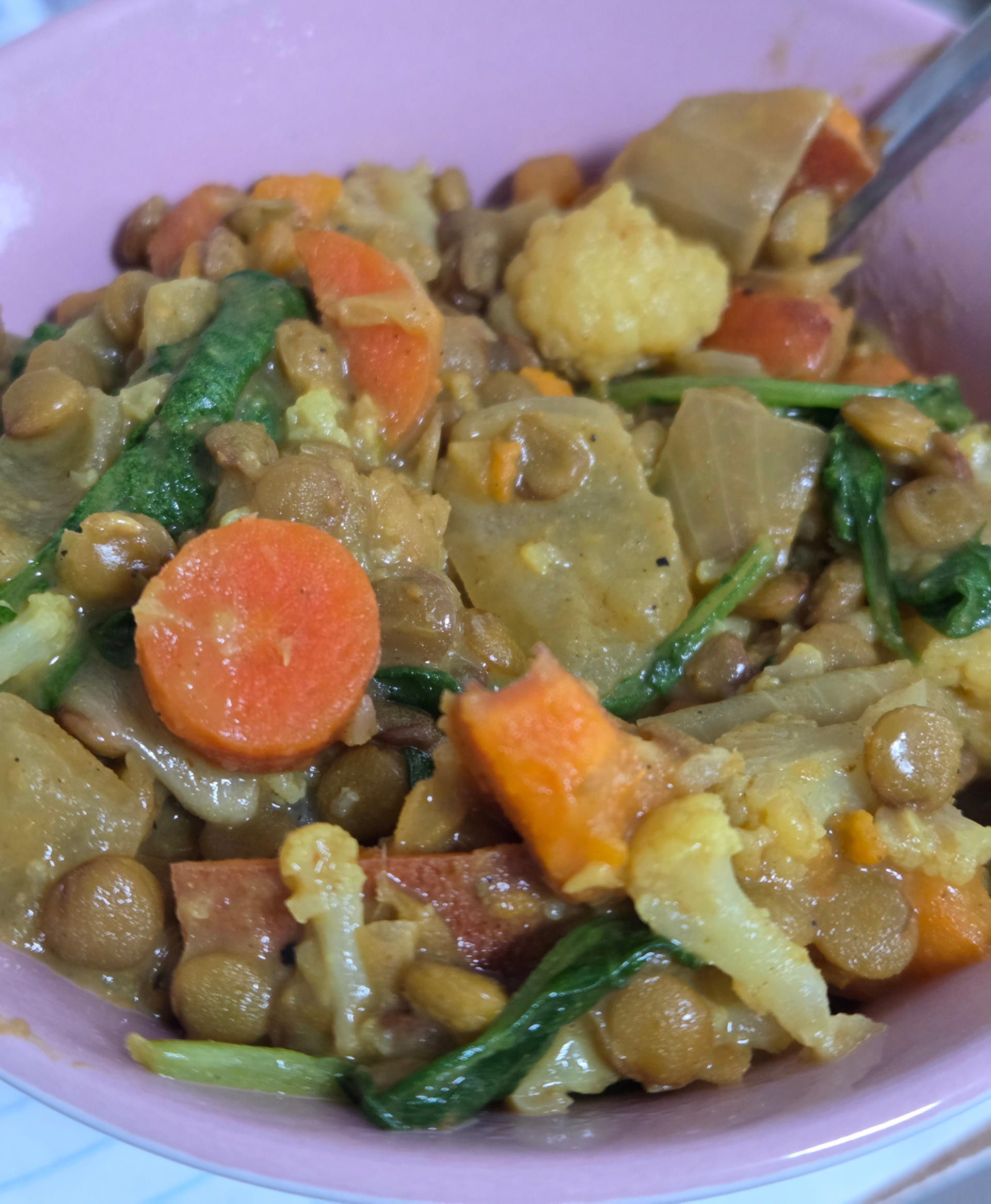 You are currently viewing Cozy Lentil Curry (Plant Based)